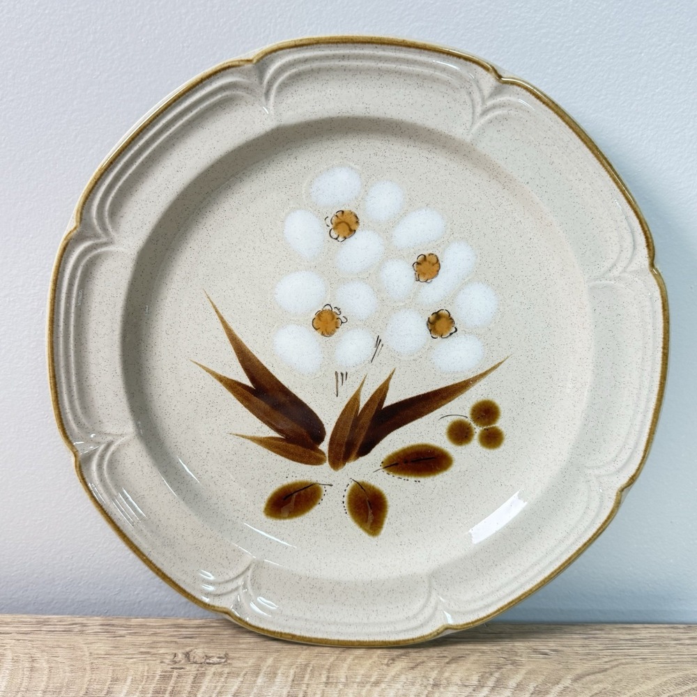 Vtg Stoneware Classics Hearthside Dinner Plates Castlewood 10 5/8" Boho 3